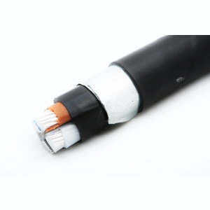 АПвБШвнг(A)-LS 2x6-0.66