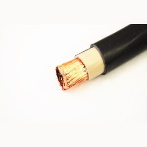 КГВВнг(A)-LSLTx 1x120-1