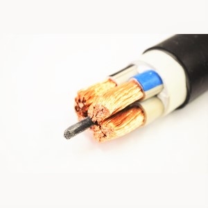 КГВВнг(A)-LSLTx 4x95-1
