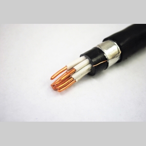 КВБбШвнг(A)-HF 10x4