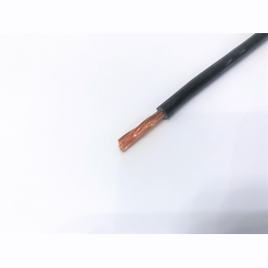 ПуГПнг(A)-HF 1x6 Ч